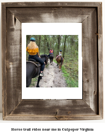 horse trail rides near me in Culpeper, Virginia